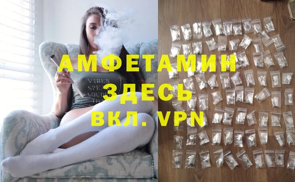 молекула духа Алзамай