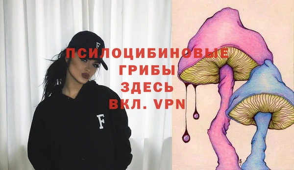 молекула духа Алзамай