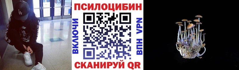 Псилоцибиновые грибы Magic Shrooms  Данилов 